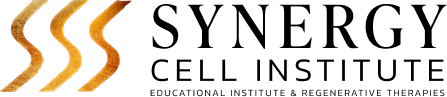 Synergy Logo